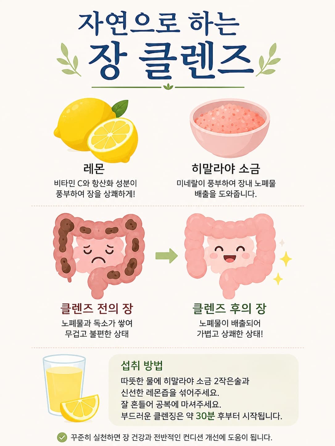 자연으로 하는 장 클렌징