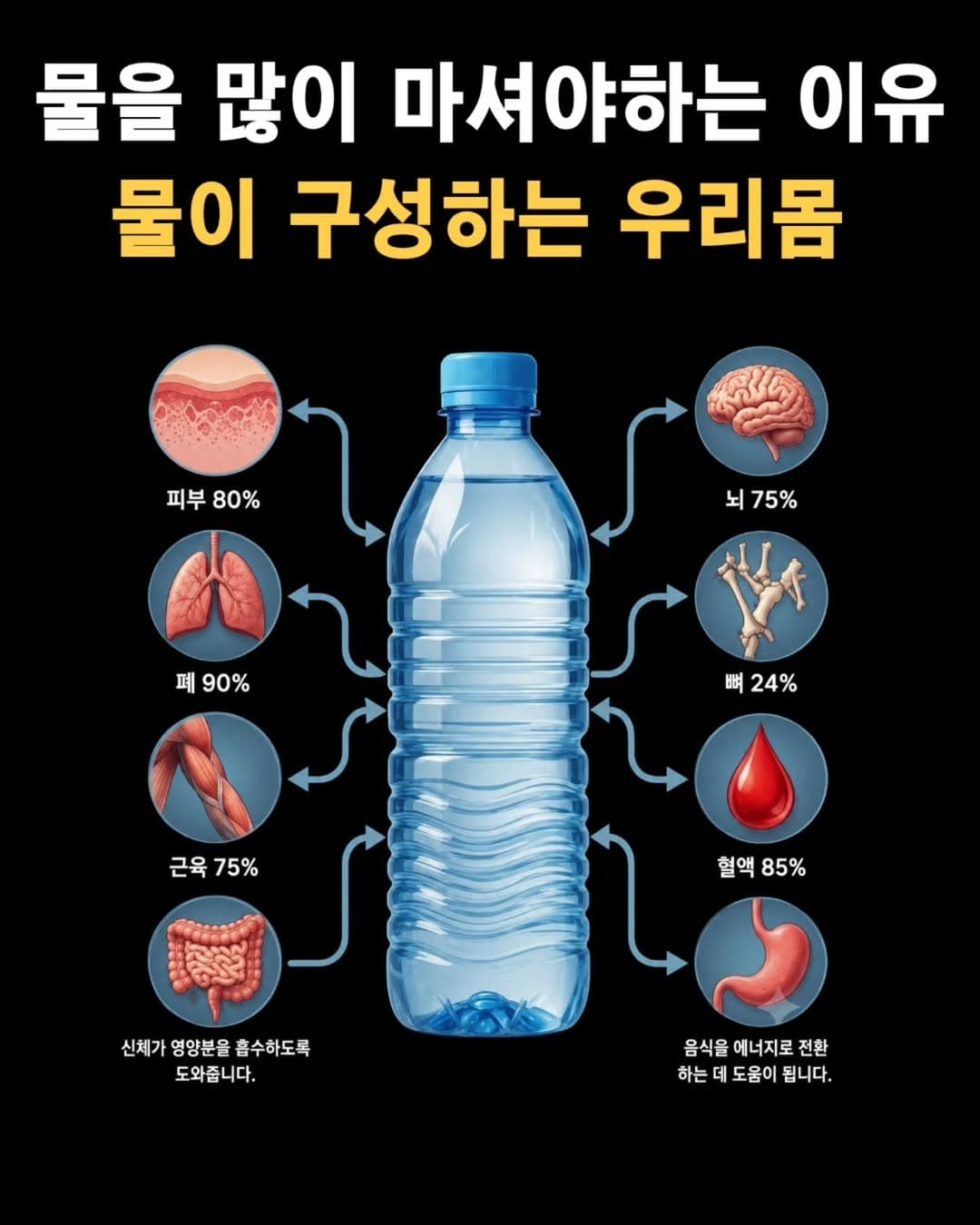 물을 많이 먹어야 하는 이유