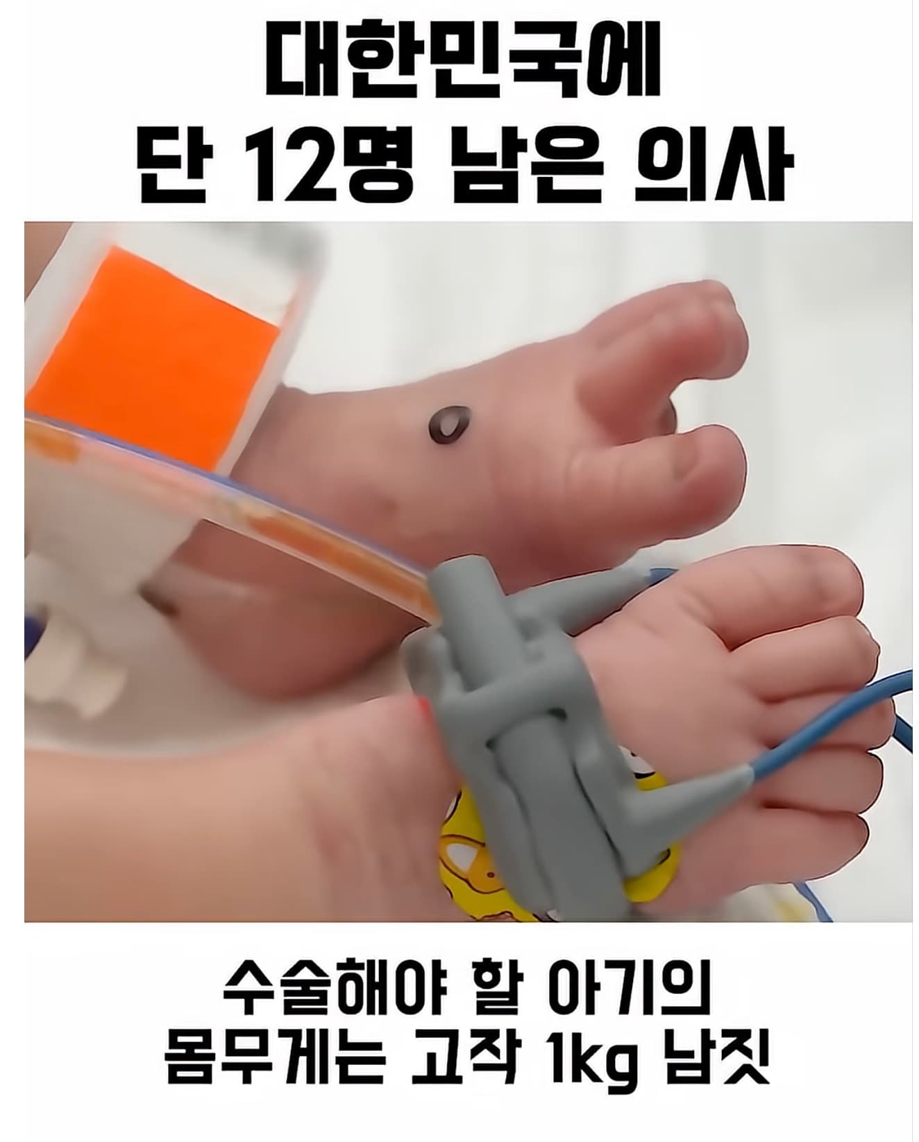 나라가 최고대우하고 모셔야 함