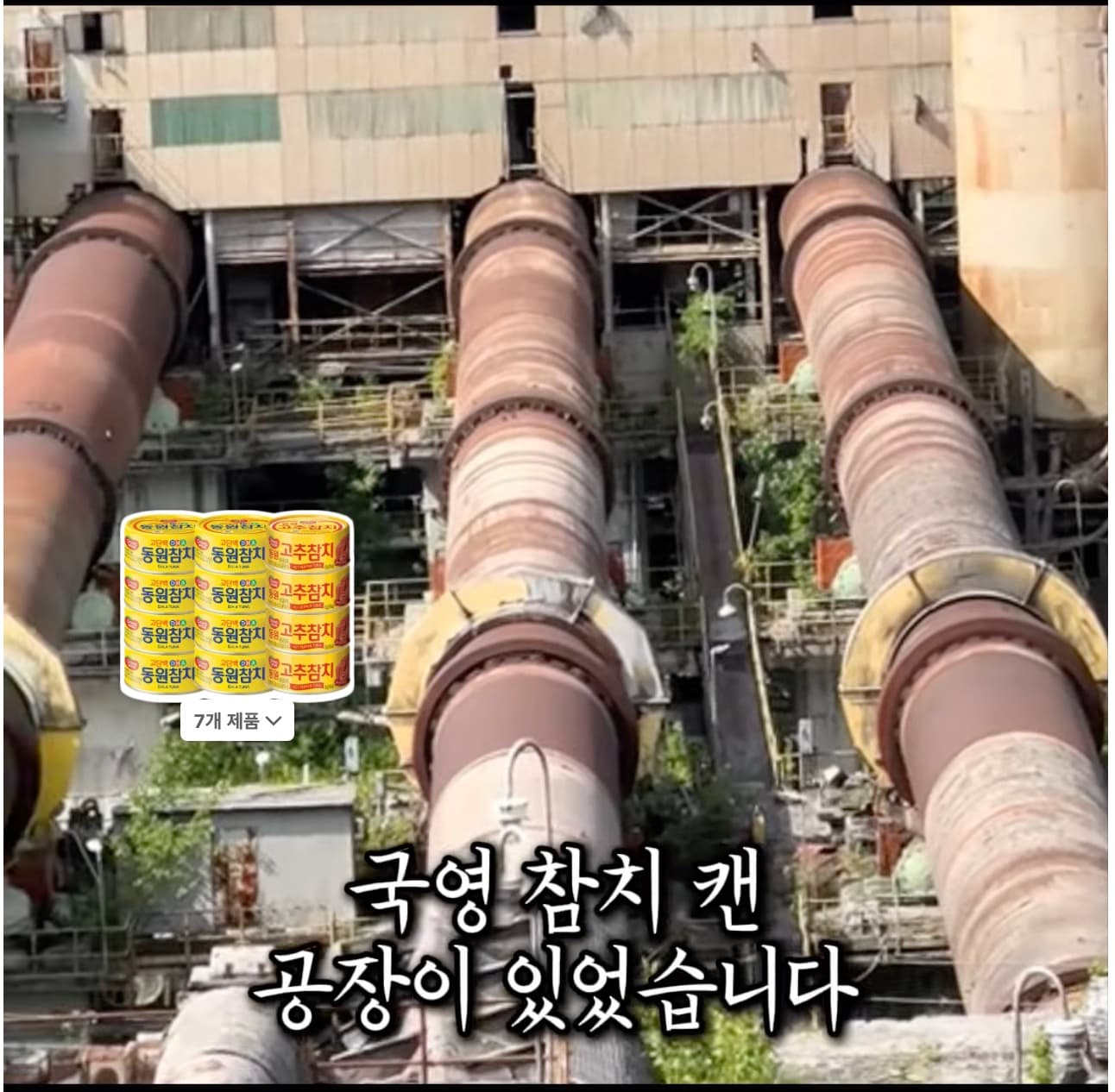 세네갈을 살린 동원그룹