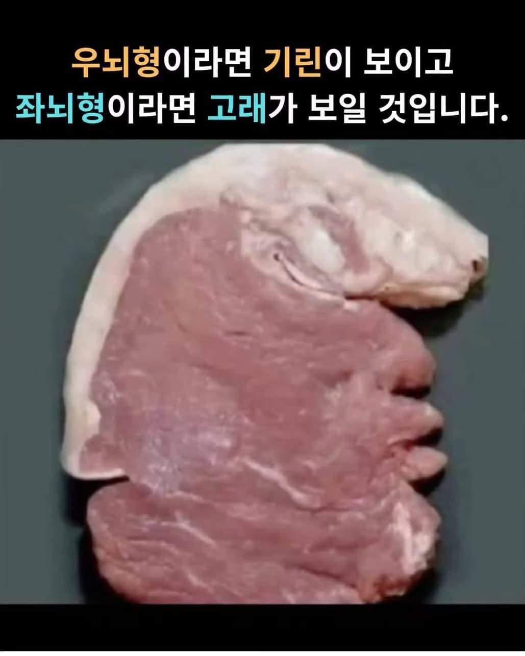 당신의 눈에는 무엇이 보이나요? 우뇌 vs 좌뇌 테스트!