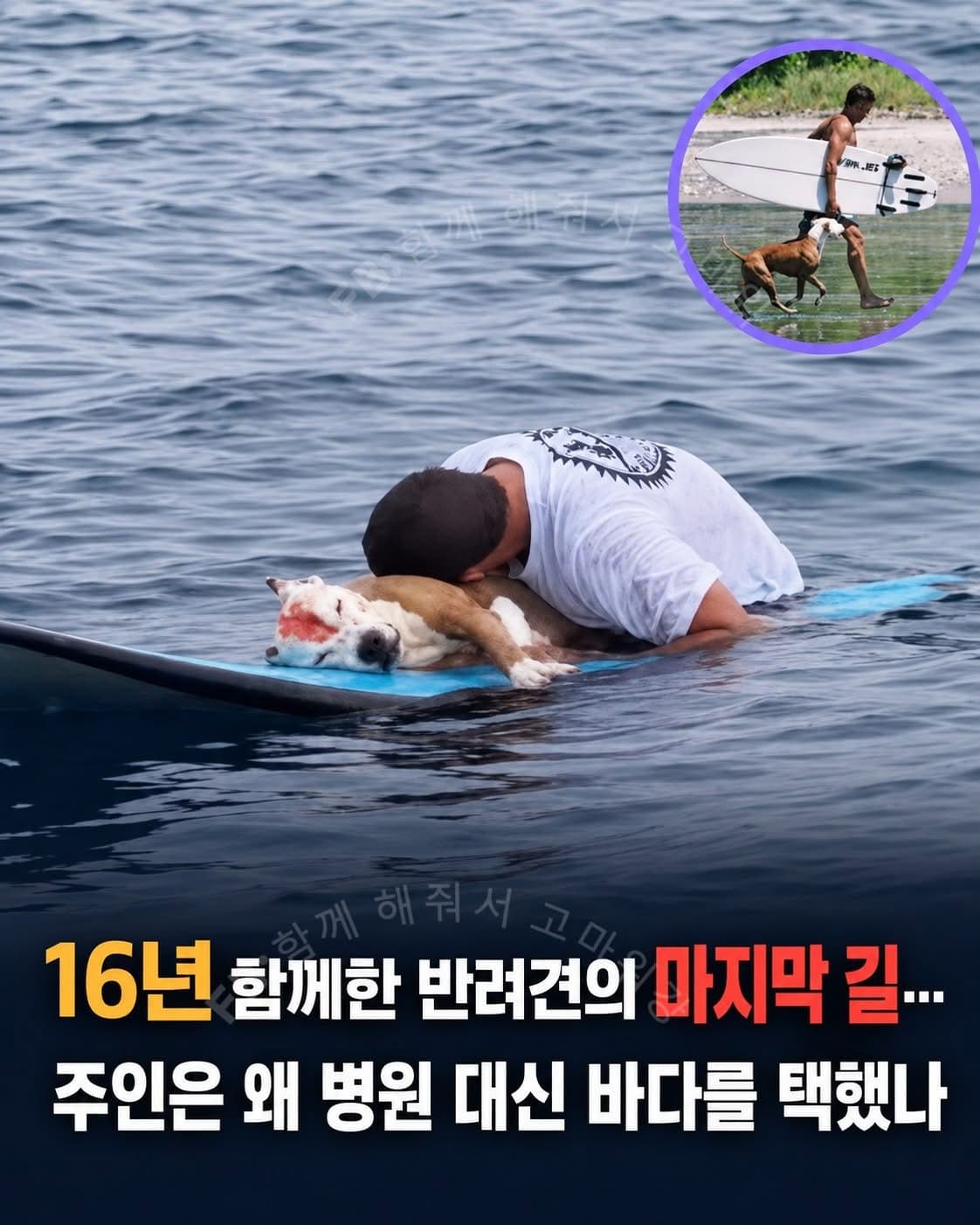 16년을 함께한 시간을 뒤로 하고